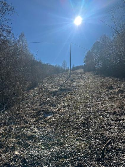 Teren de vanzare - 7