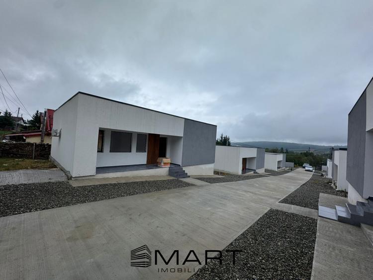 Casa cu 3 camere in Tocile - 1