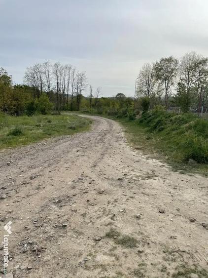 Teren intravilan -KM 7, Resita 5265mp - 3