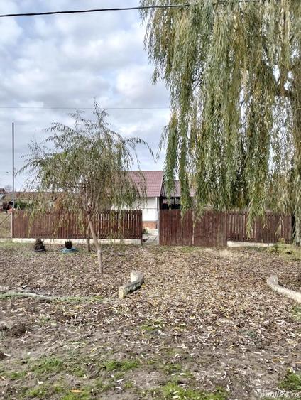 Casa de vanzare comuna Balin?,sat Bodo,jud.Timi? - 10