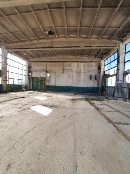 Hala 300 mp, 1,50 e/mp - 1