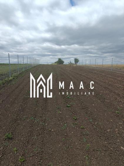 Teren Extravilan 800 mp I Front Stradal 60 m I Sura Mică I Sibiu - 3