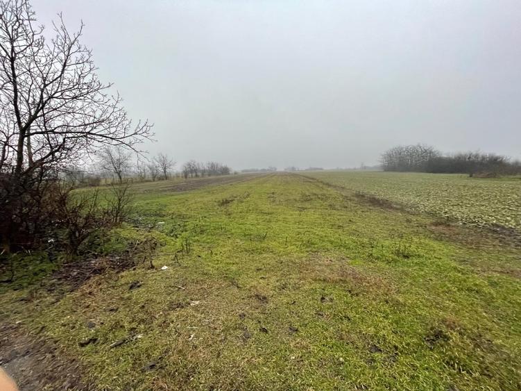 Teren intravilan + extravilan - 3