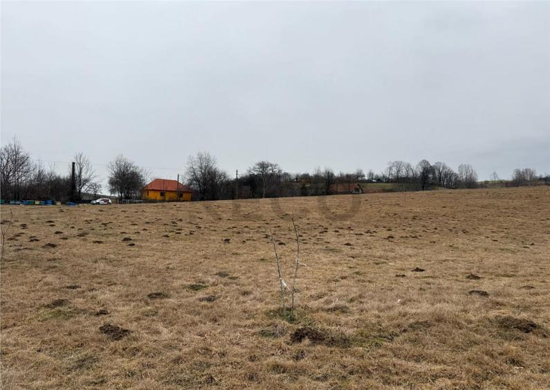 RECO , teren intravilan in Tomnatic, Vadu Crisului - 5