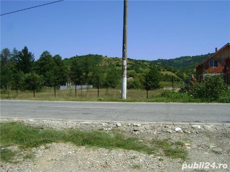 de inchiriat teren in eselnita , jud. mehedinti - 8