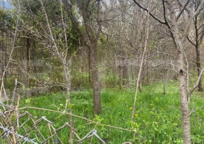 Teren 784 mp, Nistoresti, jud Prahova - 2