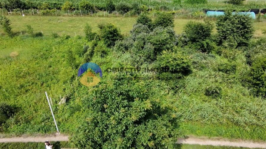 Teren intravilan com. Alexandru cel Bun- Viisoara