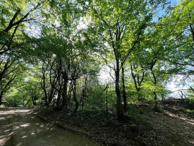 Teren intravilan pentru constructii de vanzare in Grigorescu, Cluj Napoca - 11