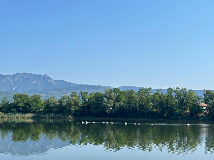 Inchiriere cabana Calimanesti Valcea, cu ponton la Olt - 3