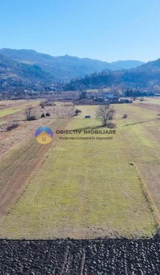 TEREN intravilan  4488 mp - PANGĂRAȚI - 9