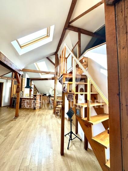 Vanzare mansarda 3 camere - str Serg.Maj.Ancuta Ilie - zona Parcul Carol - 13