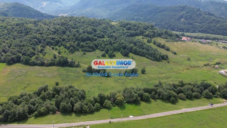 Vindem teren 20000 mp Cheile Rasnoavei - Brasov , pentru case vacanta - 7