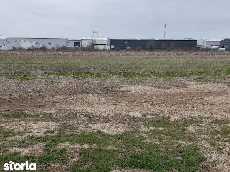 FARA COMISIOANE LOTURI TEREN CONSTRUCTII HALE in ZONA DE HALE merita v - 10