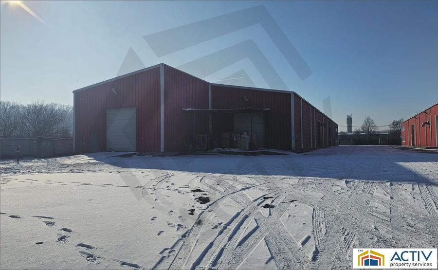 Hală industrială de închiriat – 3.100 mp (1.600 mp + 1.500 mp) – Strada Sinaia, - 5