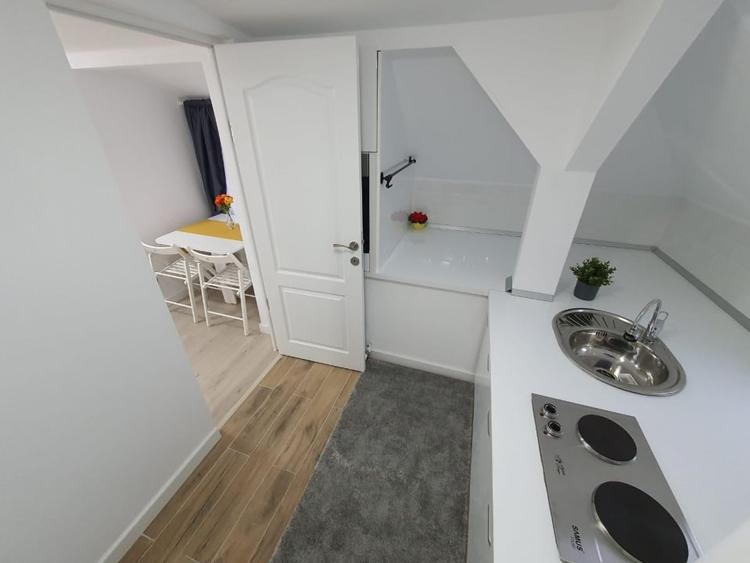 Garsoniera in Vila Parcul Carol | Mansarda | Pet Friendly - 9