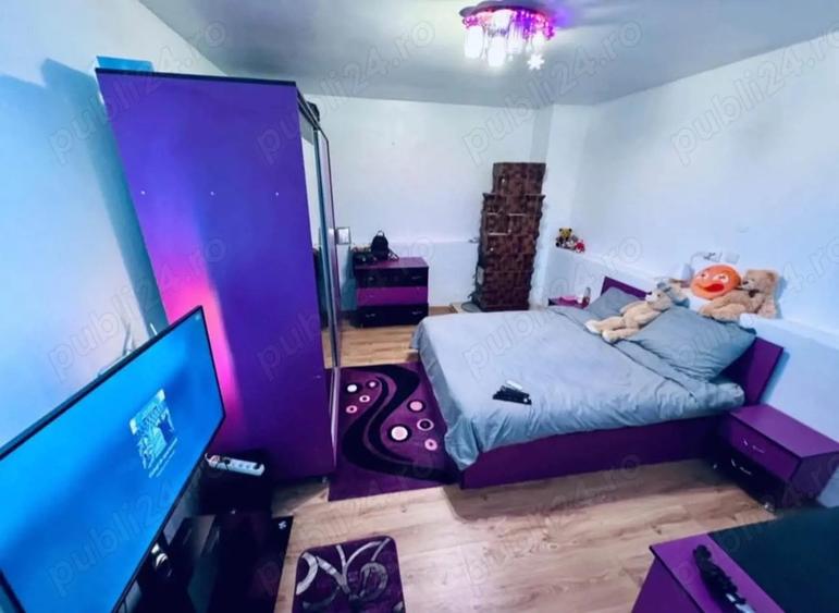 Gospodarie de vanzare (2 case) - 4