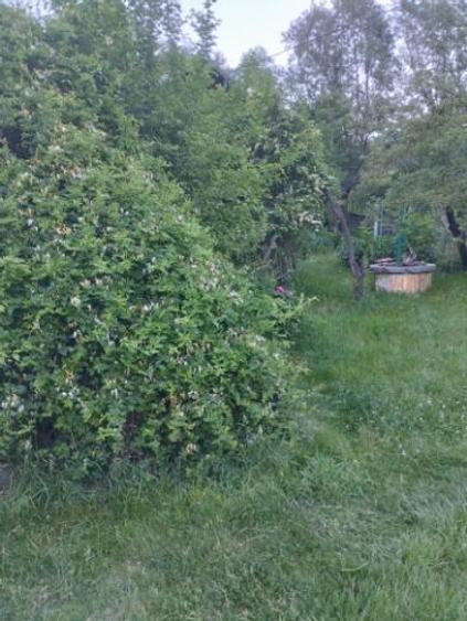 Casă de vânzare în Agăș  - 2