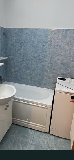 Farsoniera - Tractorul- langa Coresi Mall- Pet Friendly  - 2