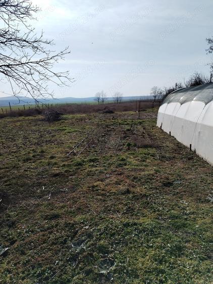 Casa batraneasca cu teren 4800m - 2