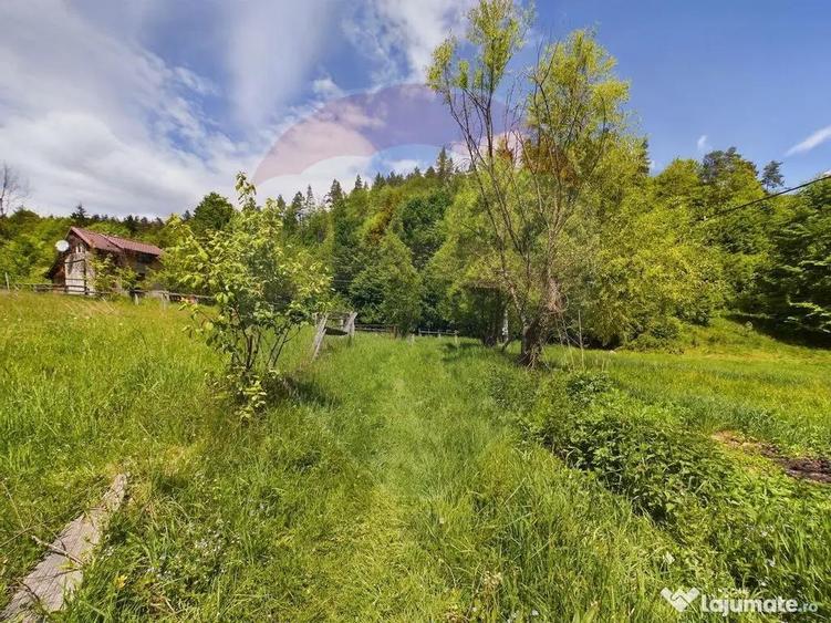 Comision 0%! Proprietate in natura, priveliste superba, S... - 17