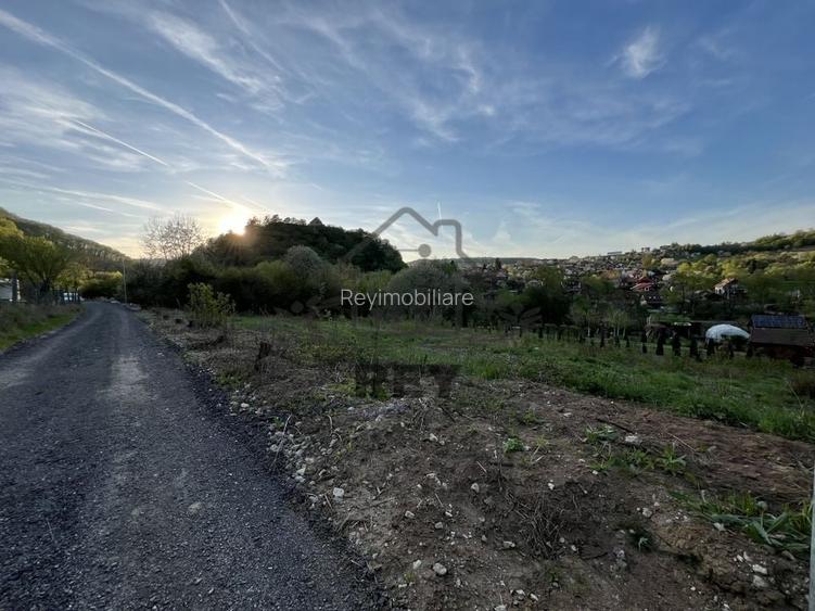 Teren la poalele Cetății Cisnadioarei de vânzare/1250 mp