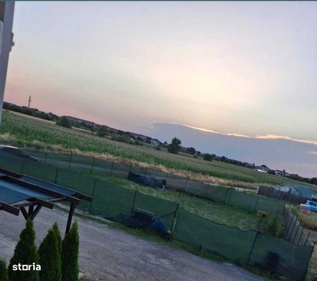 Vand teren intravilan cornetu 429mp - 1