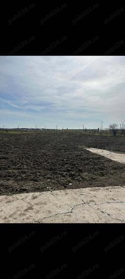 Casa de vanzare,comuna Pecineaga,Constan?a - 4