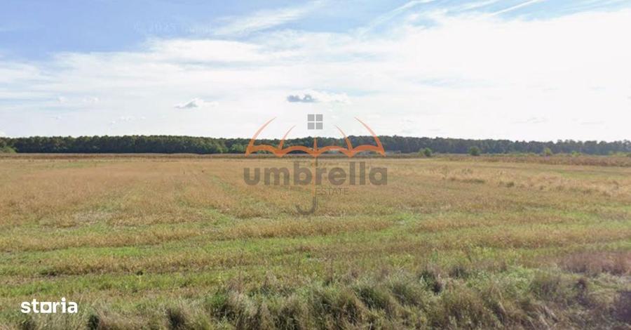 Teren Hideaga | Deschidere pe E58 DN1C - 1