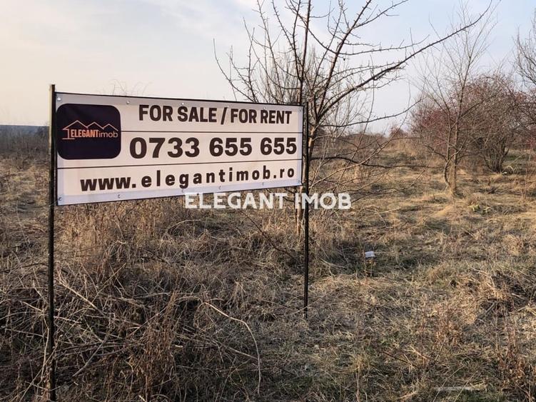Vanzari Terenuri ILFOV - NORD CORBEANCA - 1