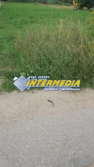 Teren de vanzare in Oarda, zona Ses la sosea 2000 mp - 1