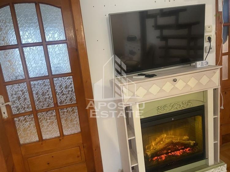 Casa individuala in Remetea Mare cu 1219 mp de teren - 11