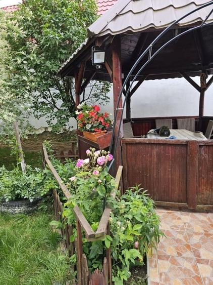 Vand casa 3 camere ARIUSD - 18