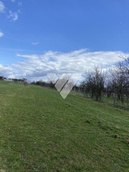 Teren Rasinari 3500 mp extravilan - 5