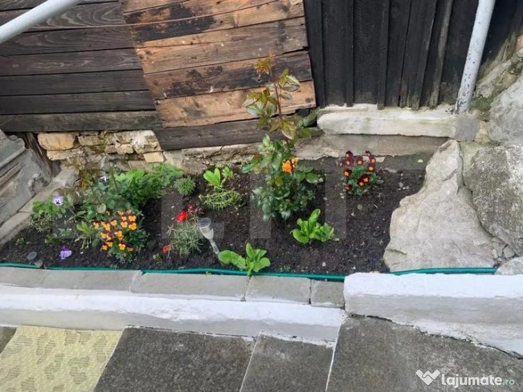 Casa individuala, cu 3 camere in zona Turda Noua - 3