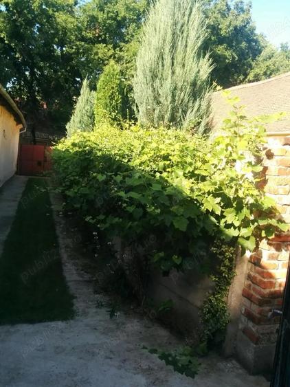 Casa Zona Centrala (Tudor Vladimirescu) - 4