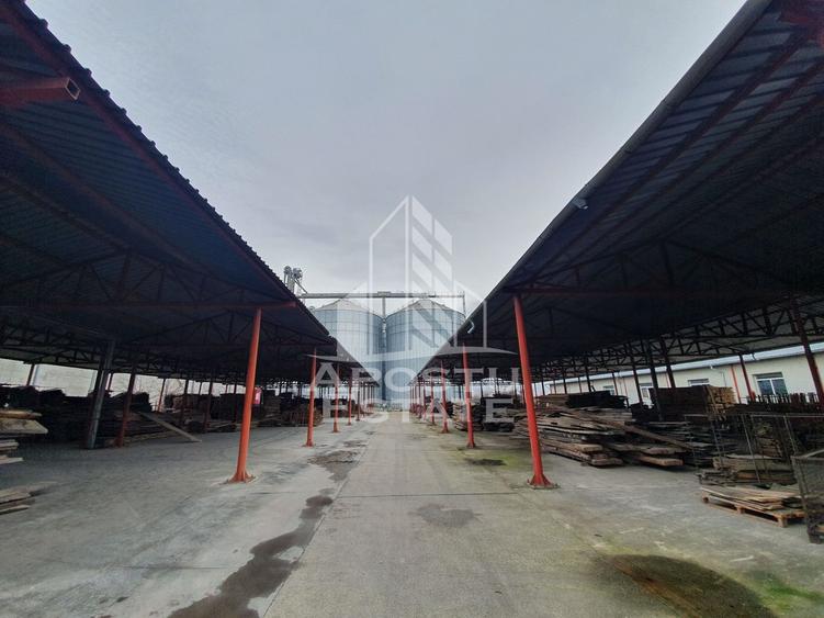 SPATIU INDUSTRIAL cu 3 hale si depozite acoperite - 4