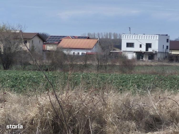 Teren cu gaz si electrica-hotar, 28000 E, padure - 7