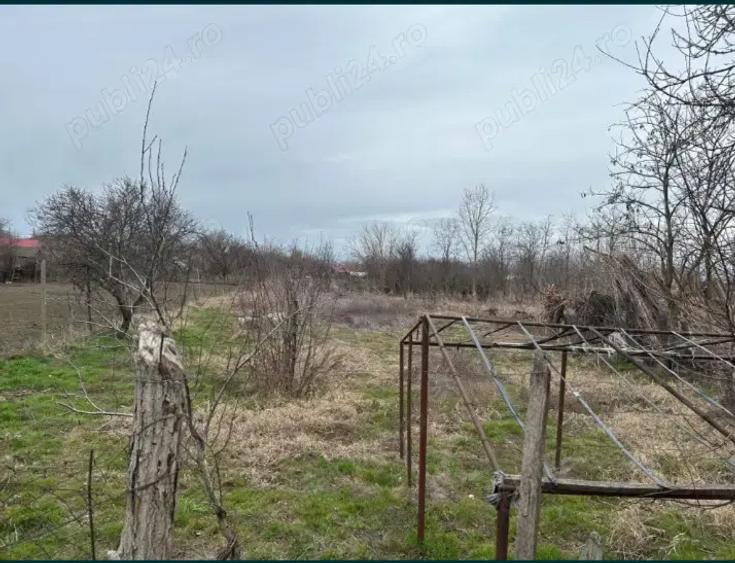Casa batraneasca - 2