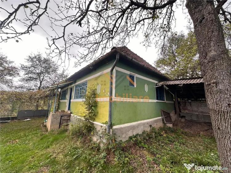 TEREN | 9341 MP | BALNACA GROSI | BIHOR - 10