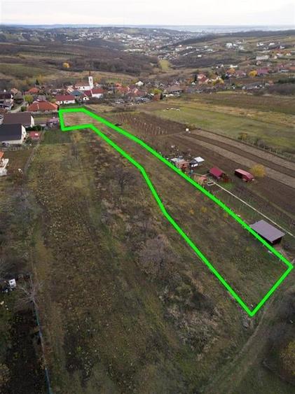 RECO . Teren intravilan Saldabagiu de munte . - 9