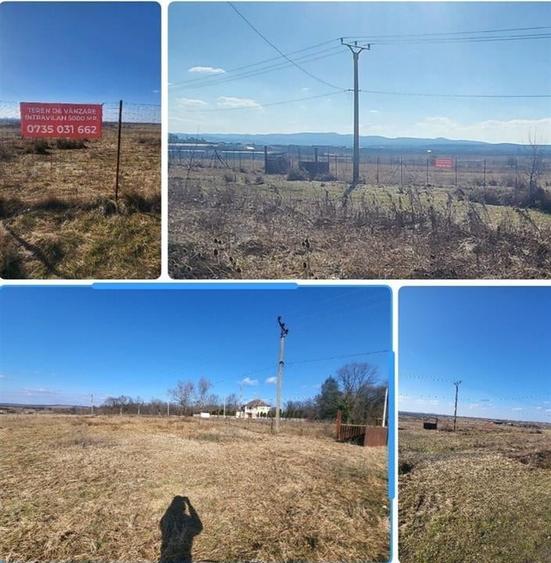 Teren intravilan, Sebis , zona str. Ciutariei. - 3