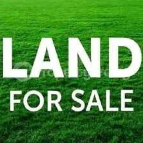 MOARA VLASIEI - limita A3/industrial/parcelabil/50.000 mp - 1