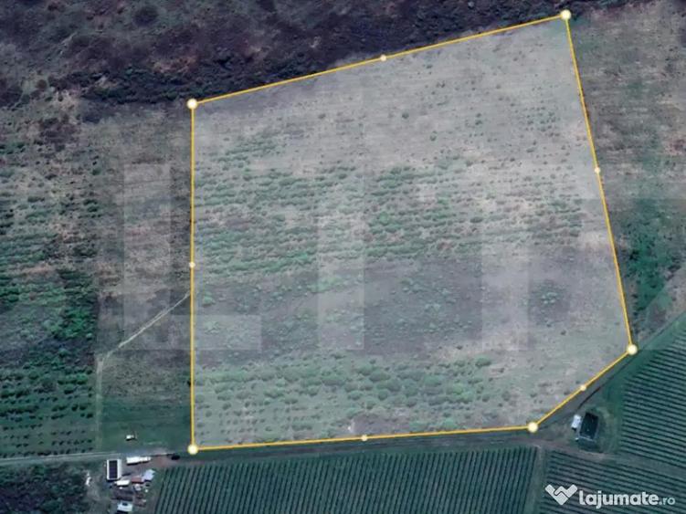 Teren extravilan 4,5ha Lipova - 1