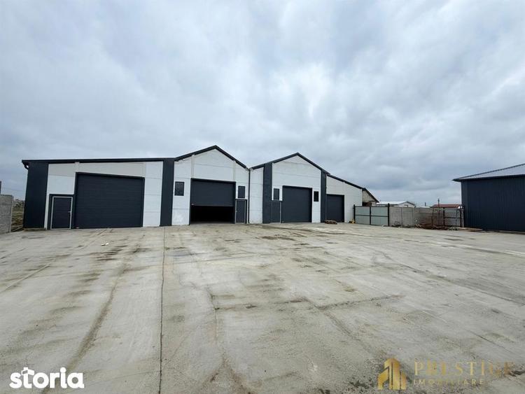 Hala 500 mp de inchiriat in Livada la 5 min de Aeroportul Oradea - 7