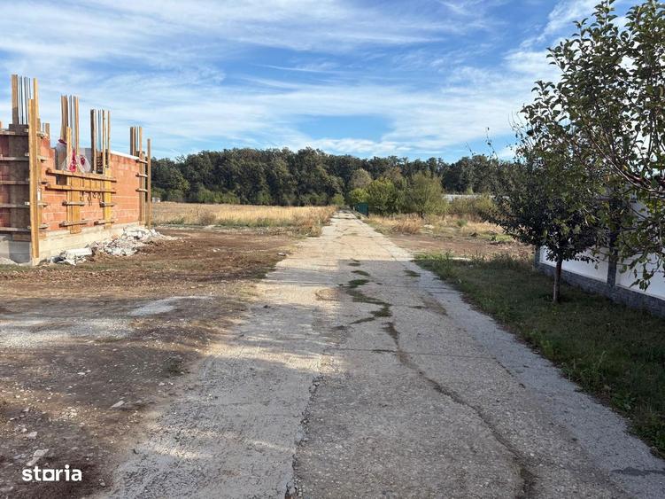 Casa de vanzare cu 6 camere ?i mansarda teren 2500mp Padure Cernica - 3