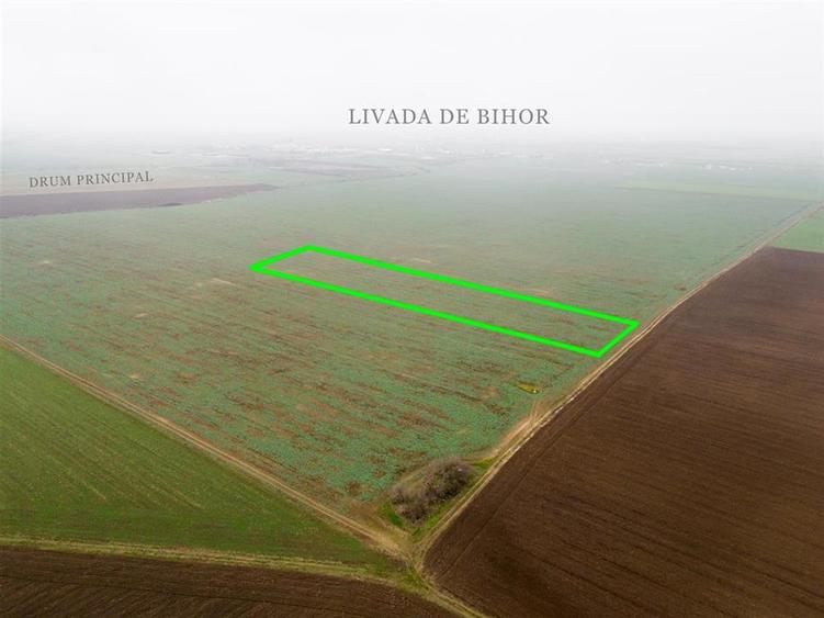 RECO Teren extravilan 5800 mp Livada de Bihor - 6