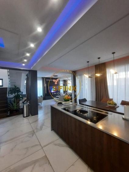 Iancu Nicolae Jolie Ville, vila noua, 7 camere, 4 locuri de parcare - 9