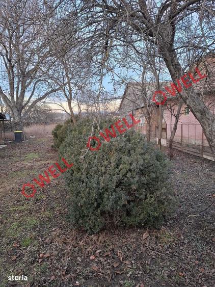 Teren intravilan de vanzare in Ruseni (Targu Secuiesc)! - 3