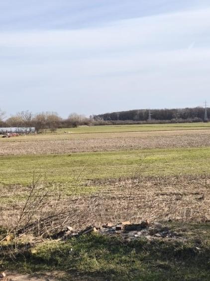 Teren Intravilan JILAVA - 7