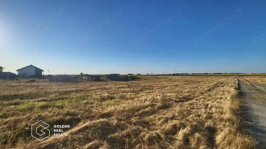 Terenuri de vanzare in comuna Sag Timis - 2